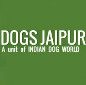 Know about authentic dog shop in Jaipur